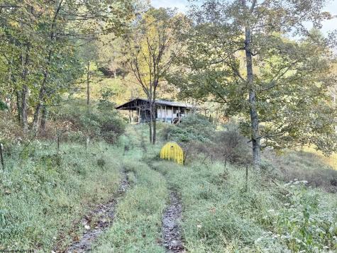 290 Long Fork Road Flatwoods WV 26623