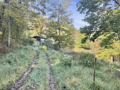 290 Long Fork Road Flatwoods WV 26623