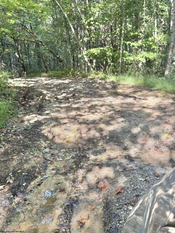 290 Long Fork Road Flatwoods WV 26623