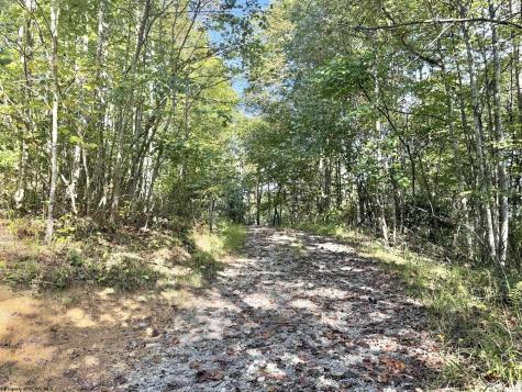 290 Long Fork Road Flatwoods WV 26623