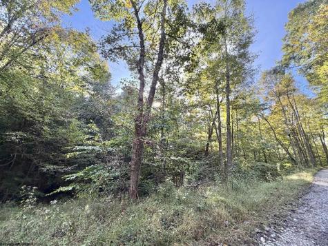 290 Long Fork Road Flatwoods WV 26623