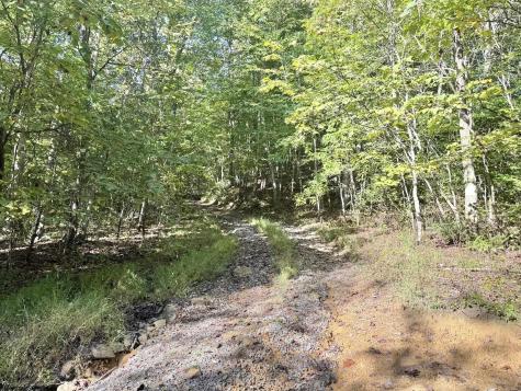 290 Long Fork Road Flatwoods WV 26623