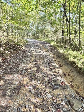 290 Long Fork Road Flatwoods WV 26623