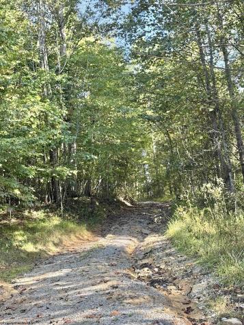 290 Long Fork Road Flatwoods WV 26623