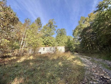 290 Long Fork Road Flatwoods WV 26623