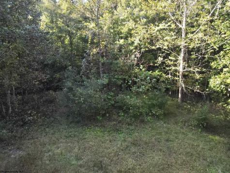 290 Long Fork Road Flatwoods WV 26623