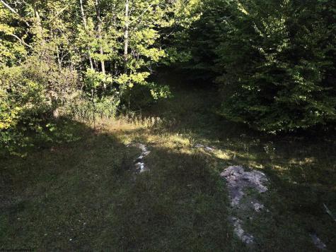 290 Long Fork Road Flatwoods WV 26623