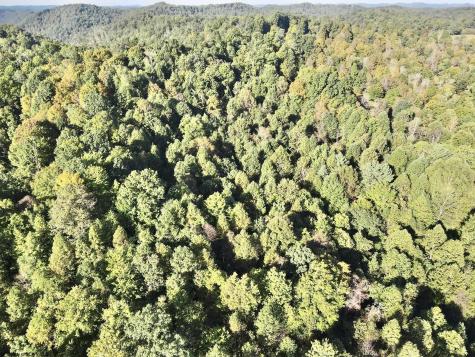 290 Long Fork Road Flatwoods WV 26623