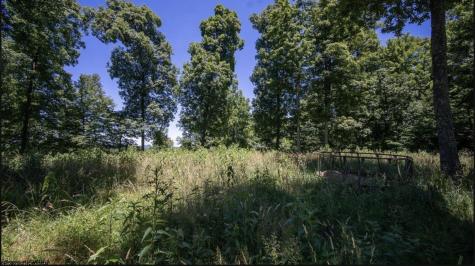 290 Long Fork Road Flatwoods WV 26623