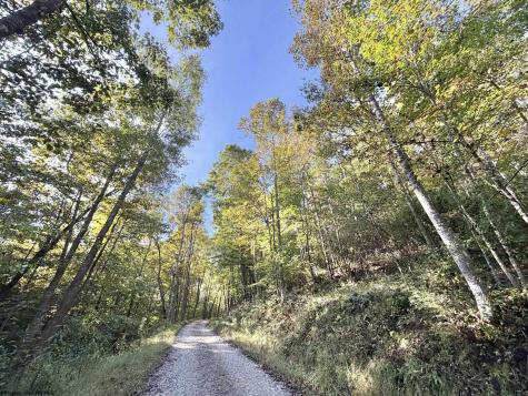 290 Long Fork Road Flatwoods WV 26623