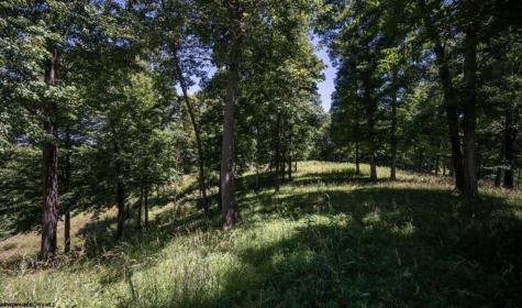 290 Long Fork Road Flatwoods WV 26623