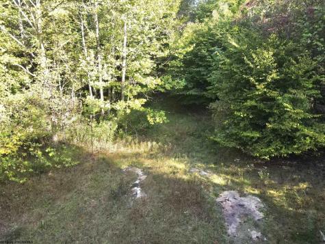 290 Long Fork Road Flatwoods WV 26623