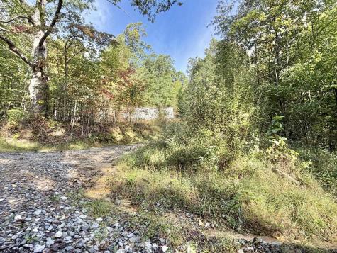 290 Long Fork Road Flatwoods WV 26623