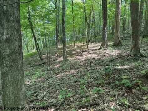 TBD Iron Town Road Independence WV 26374