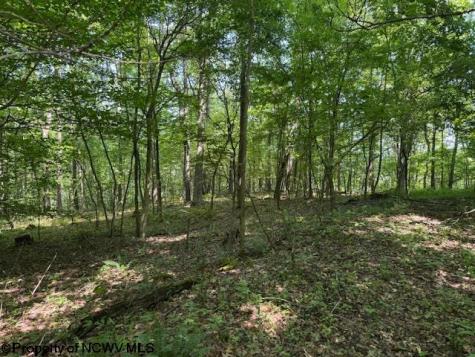 0 Iron Town Road Independence WV 26374