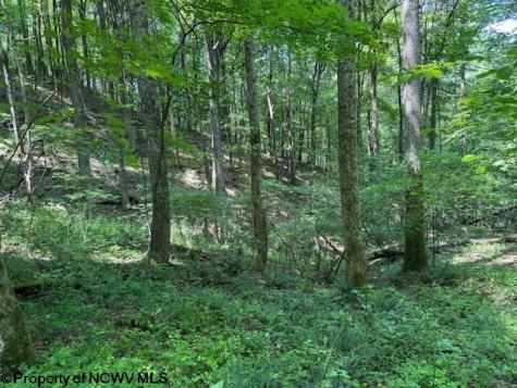 0 Iron Town Road Independence WV 26374