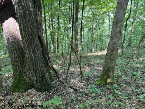 0 Iron Town Road Independence WV 26374