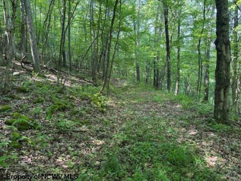 0 Iron Town Road Independence WV 26374
