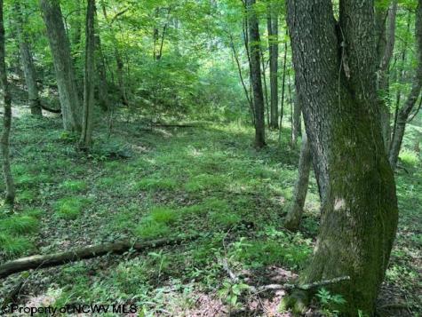 0 Iron Town Road Independence WV 26374