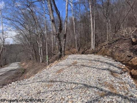 TBD Iron Town Road Independence WV 26374