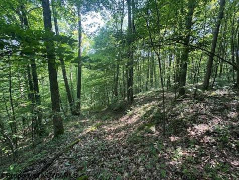 0 Iron Town Road Independence WV 26374