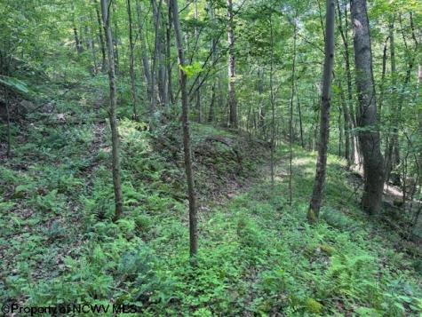 0 Iron Town Road Independence WV 26374