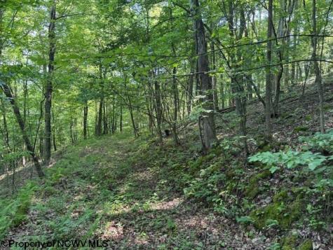 0 Iron Town Road Independence WV 26374