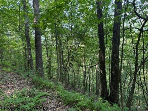 0 Iron Town Road Independence WV 26374