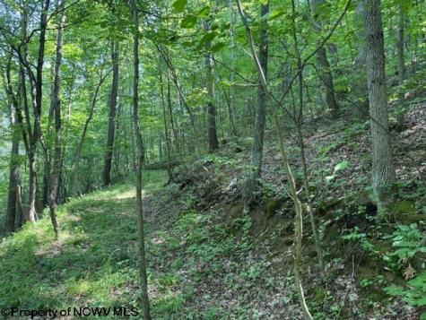 0 Iron Town Road Independence WV 26374