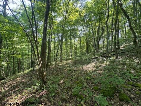 0 Iron Town Road Independence WV 26374