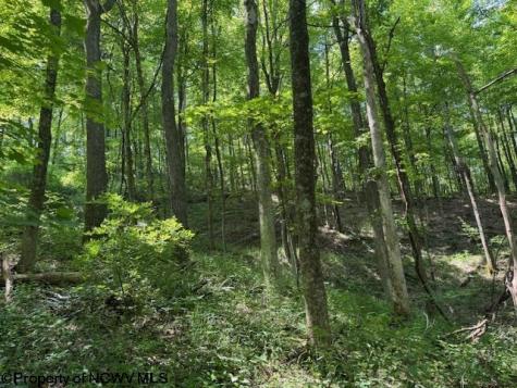 0 Iron Town Road Independence WV 26374