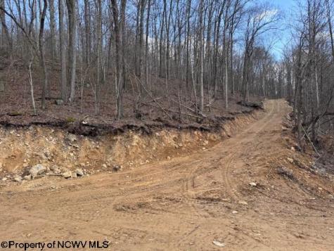 0 Iron Town Road Independence WV 26374