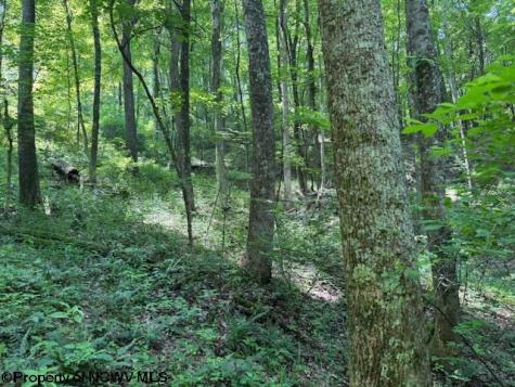 0 Iron Town Road Independence WV 26374