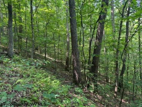 0 Iron Town Road Independence WV 26374