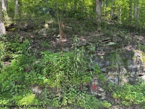 0 Iron Town Road Independence WV 26374