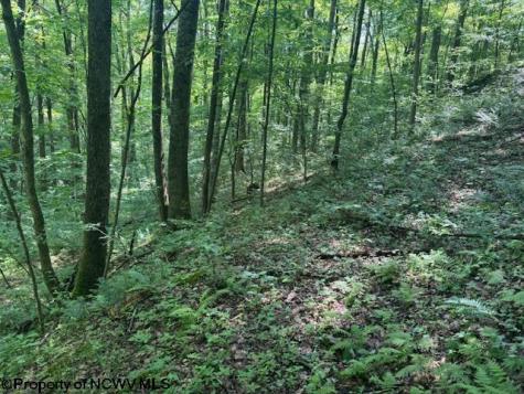 0 Iron Town Road Independence WV 26374