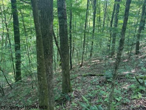 0 Iron Town Road Independence WV 26374
