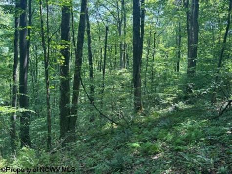 0 Iron Town Road Independence WV 26374