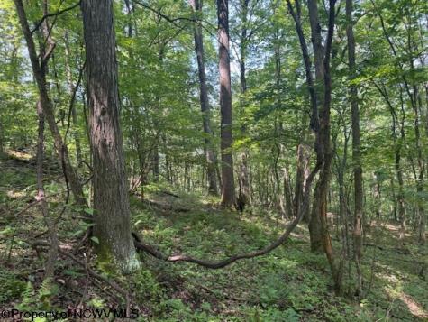 0 Iron Town Road Independence WV 26374