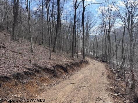 0 Iron Town Road Independence WV 26374