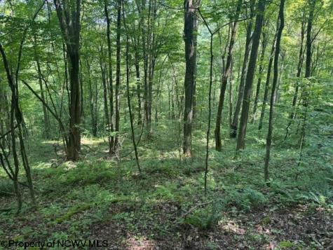 0 Iron Town Road Independence WV 26374
