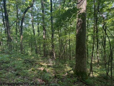 0 Iron Town Road Independence WV 26374