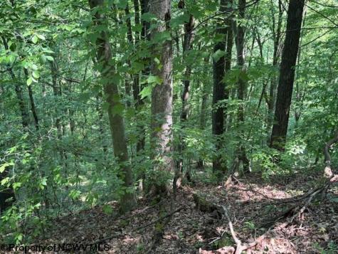 0 Iron Town Road Independence WV 26374