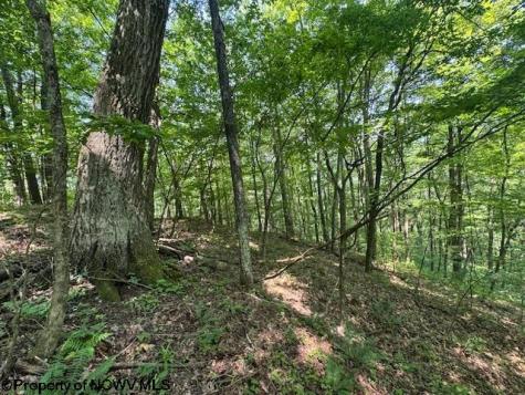 0 Iron Town Road Independence WV 26374
