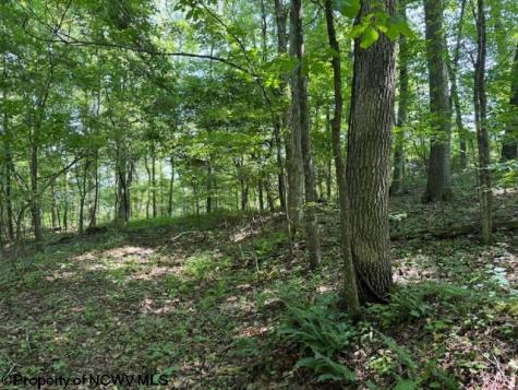 0 Iron Town Road Independence WV 26374