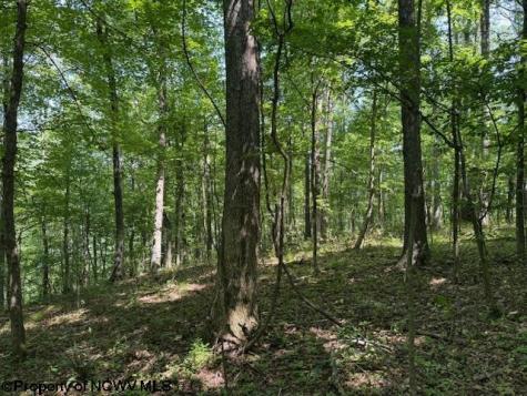 TBD Iron Town Road Independence WV 26374