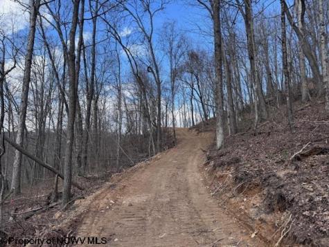 0 Iron Town Road Independence WV 26374