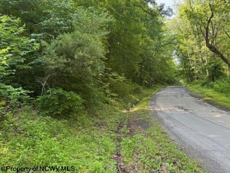 0 Iron Town Road Independence WV 26374