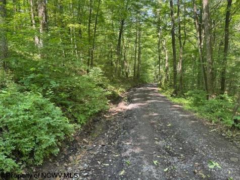 0 Iron Town Road Independence WV 26374