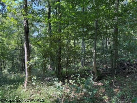 0 Hagans Road Rivesville WV 26588